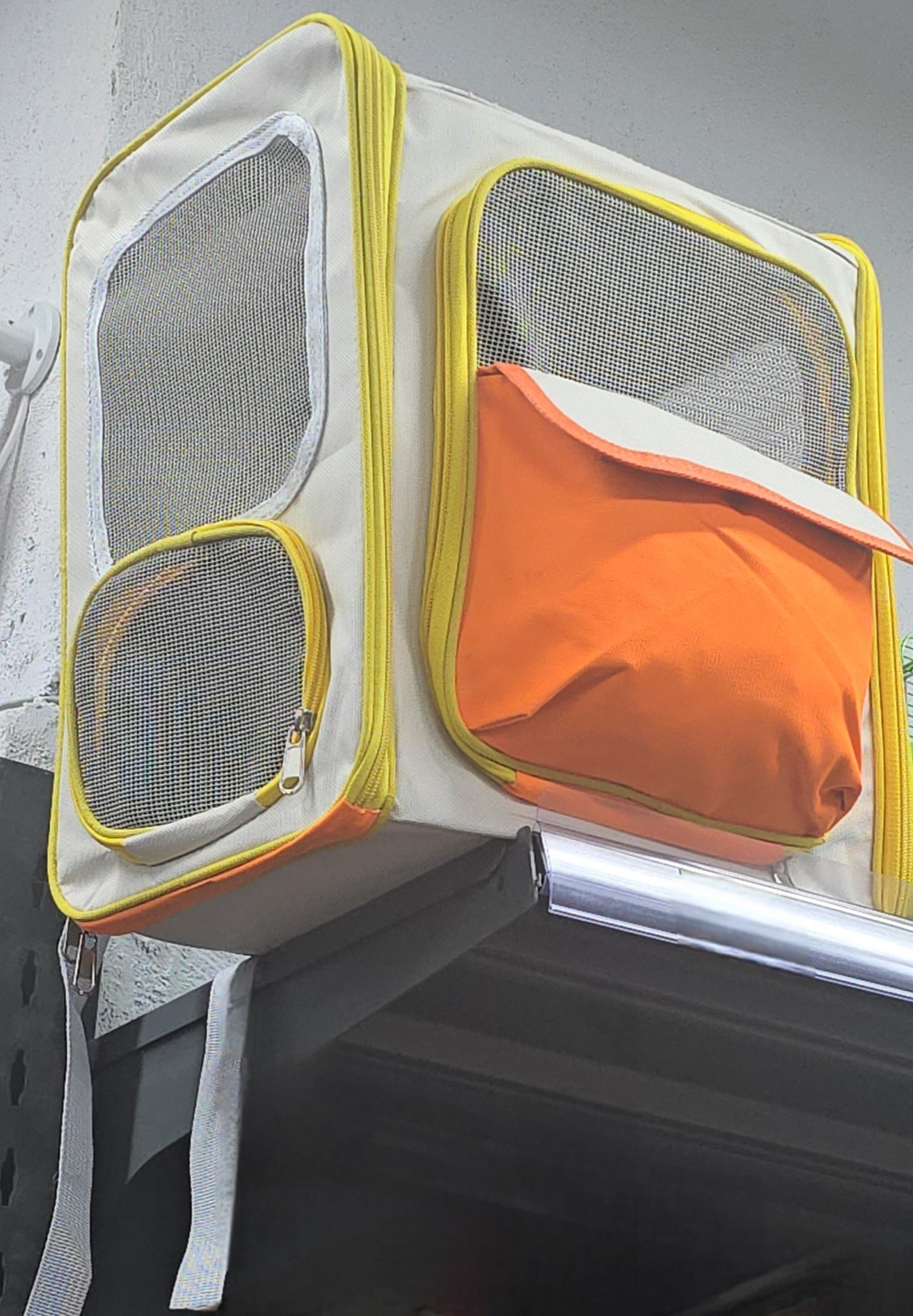 MOCHILA Transportadora de Mascotas